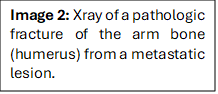 Mets Image 2